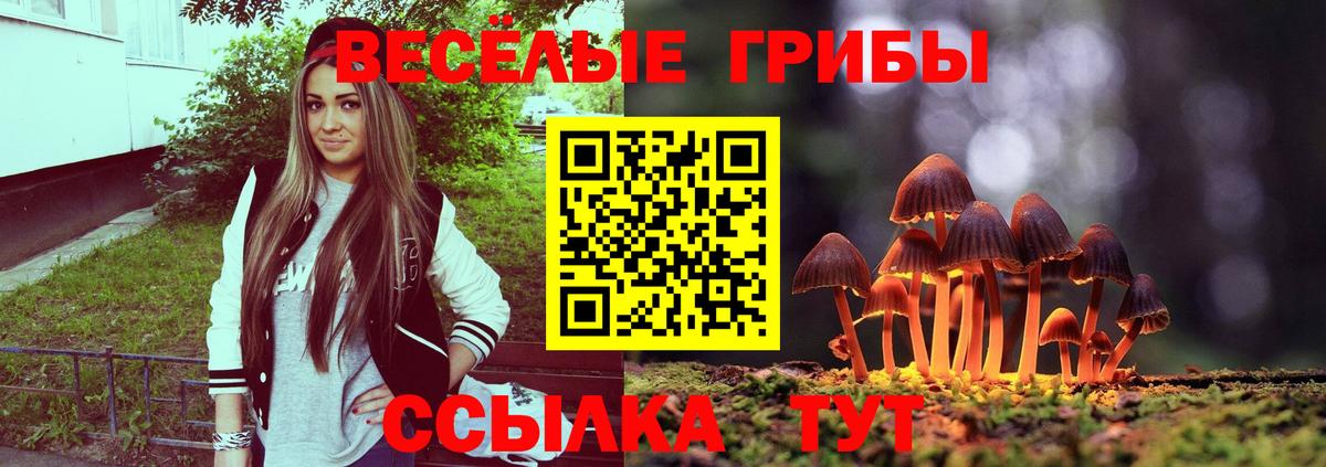 Владикавказ  Галлюциногенные грибы GOLDEN TEACHER  Галлюциногенные грибы мухоморы  Вход с VPN 